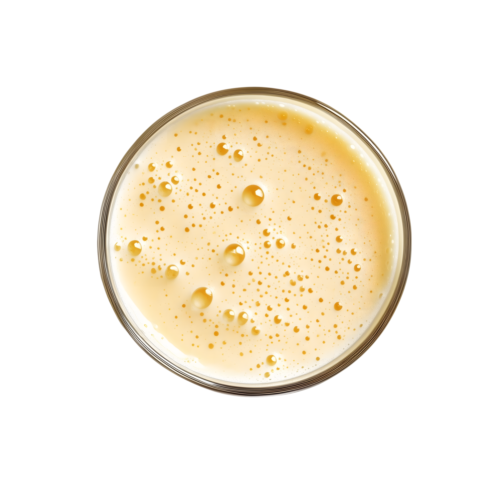 Top View Refreshing Glass of Light Beer with Rich Foamy Texture on Transparent png