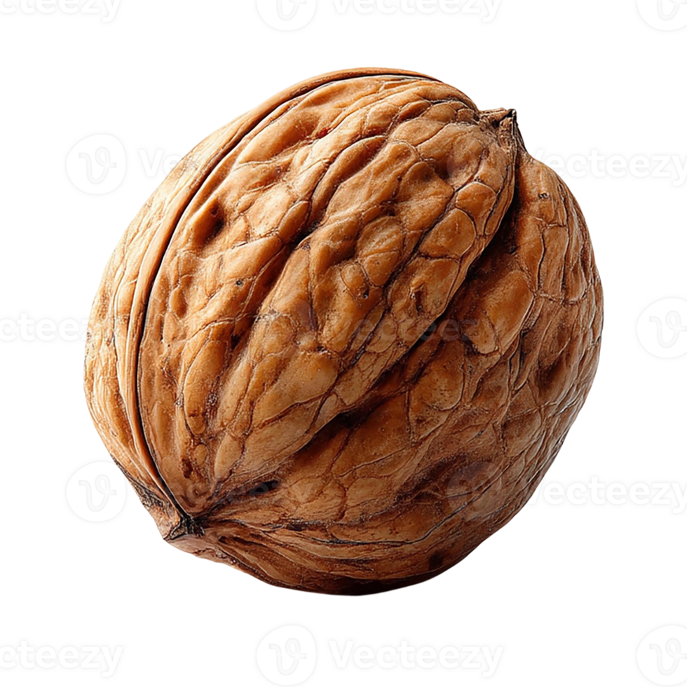 A close-up of a walnut showcasing its textured shell. png