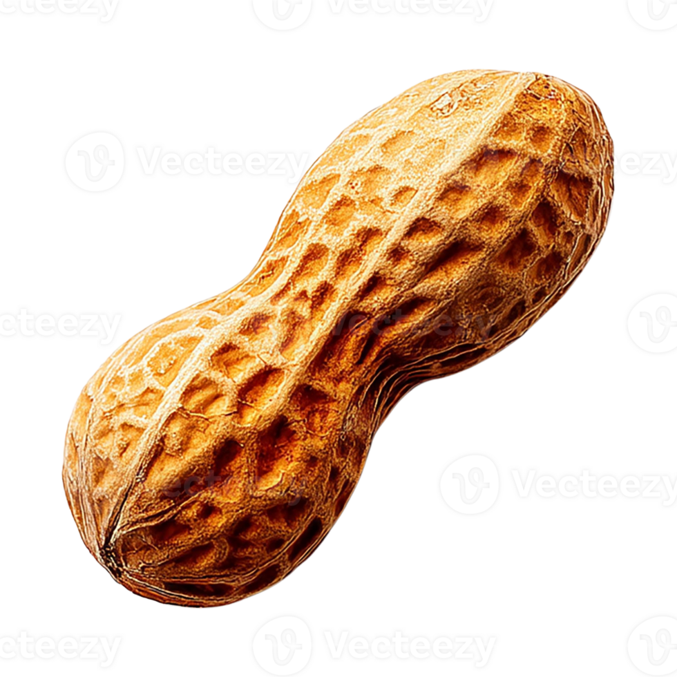 Close-up view of a single roasted peanut in its shell. png