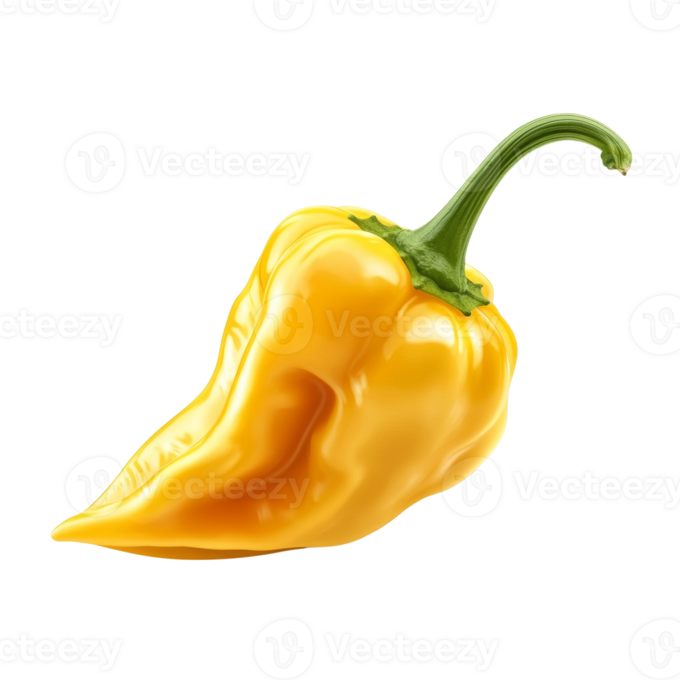 Golden habanero pepper exhibiting textured skin against a stark and unadorned setting png