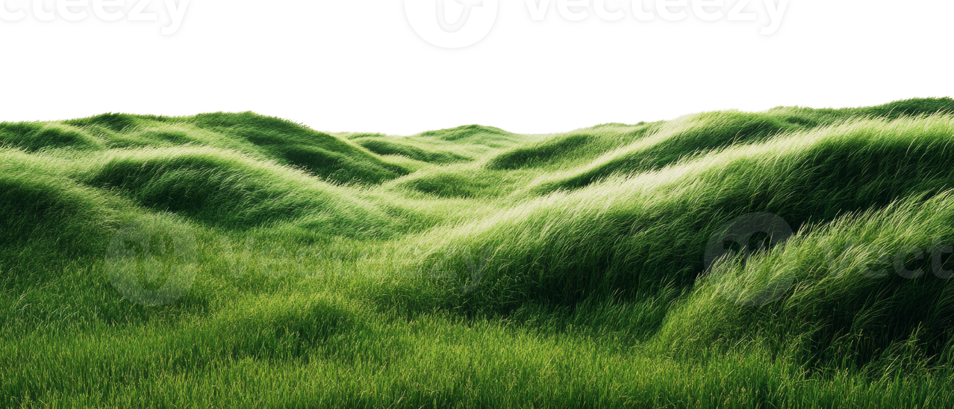 Rolling expanse of verdant grass hills set against an ethereal transparent backdrop png