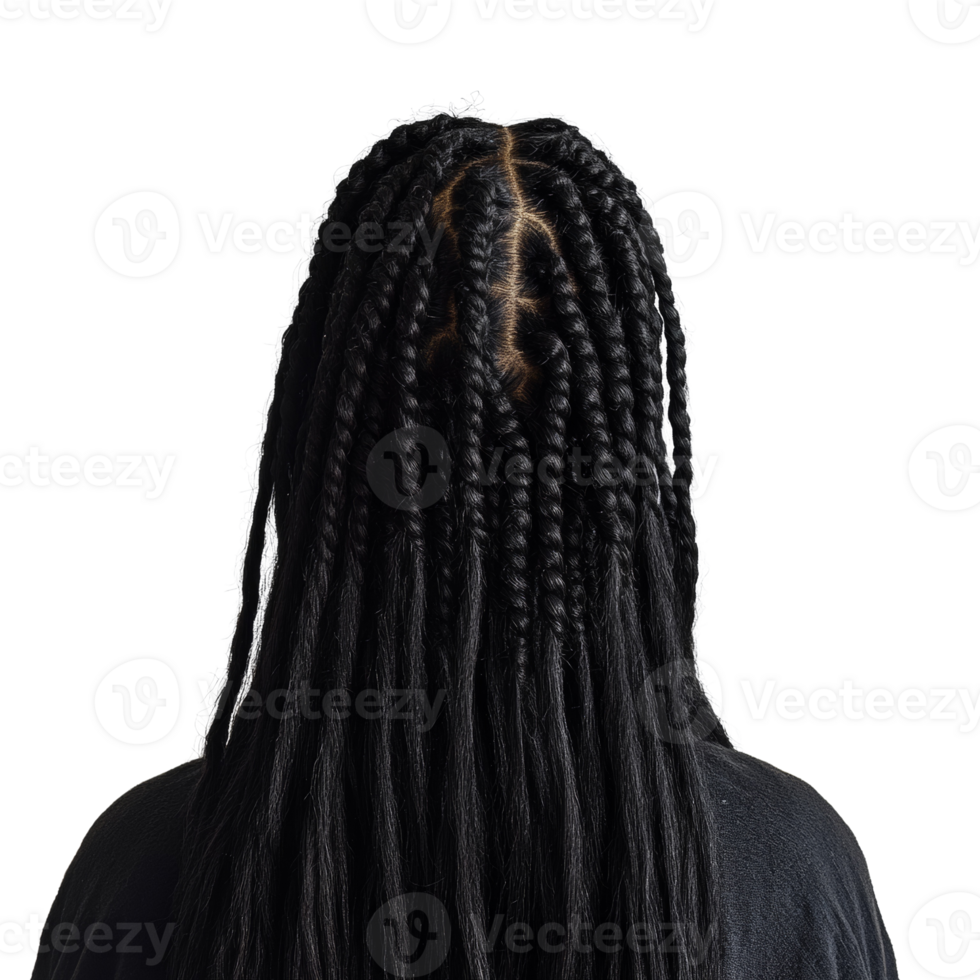 Captivating portrait showcasing intricate braids against a simple background for elegant appeal png