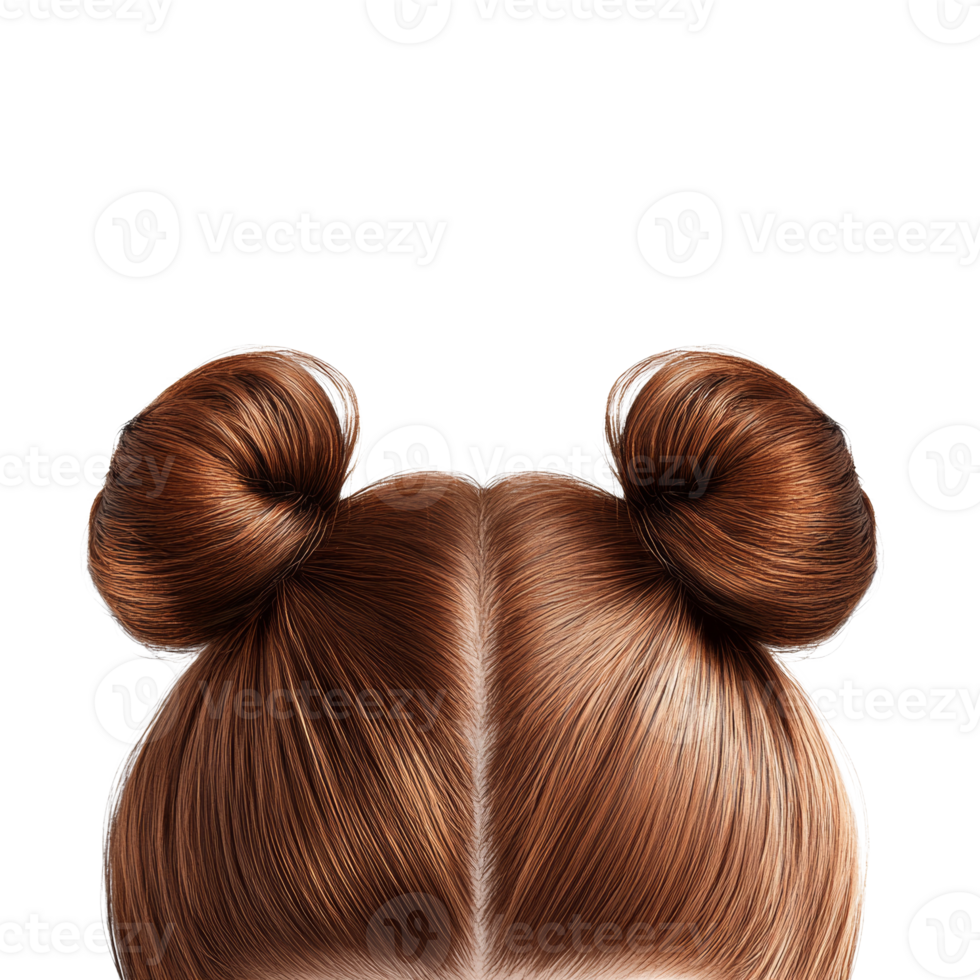A whimsical hairstyle featuring symmetrical buns, showcasing a playful and creative aesthetic png