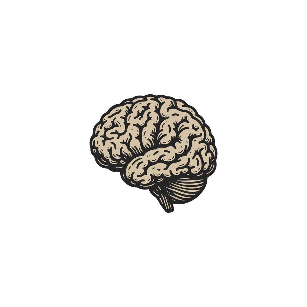 Human brain side view illustration vector