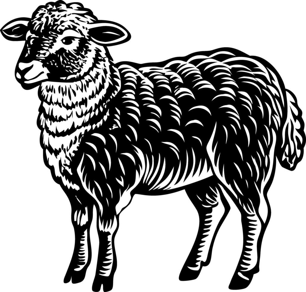 Wooly lamb illustration in vintage style vector