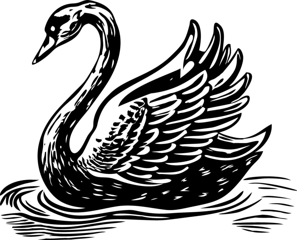 Swan swimming illustration in vintage style vector
