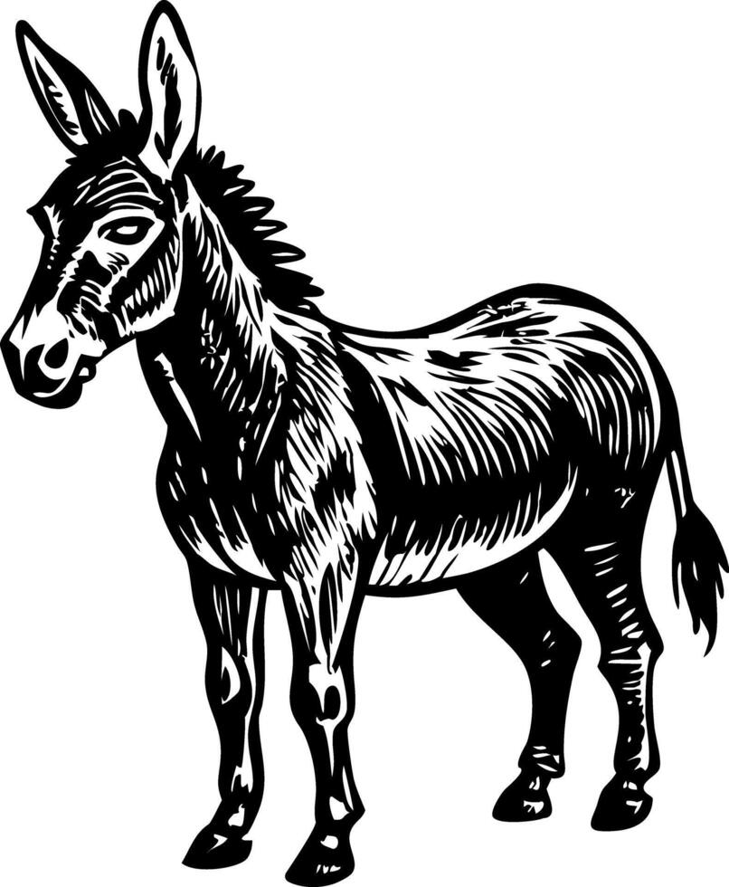 A vintage style illustration of donkey vector