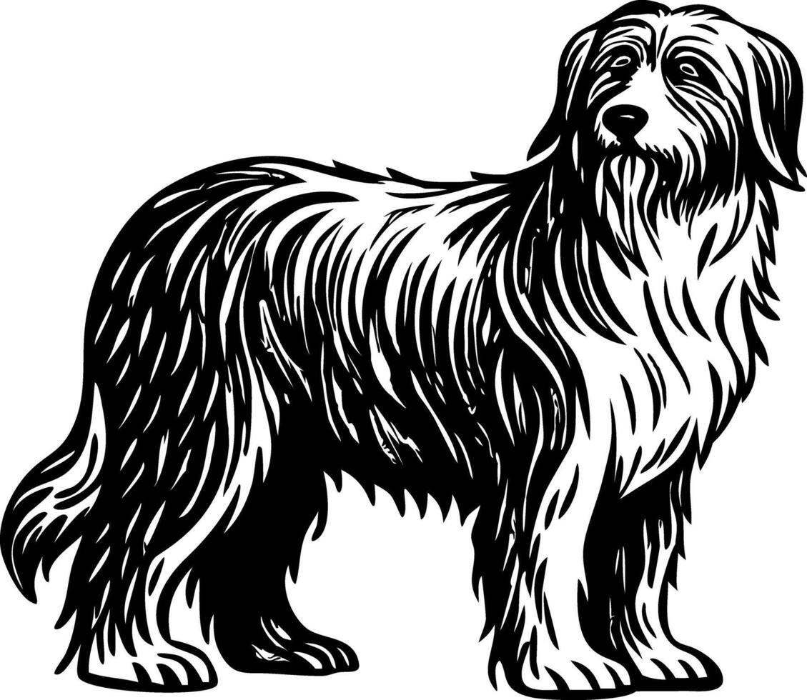 A vintage style illustration of sheepdog vector