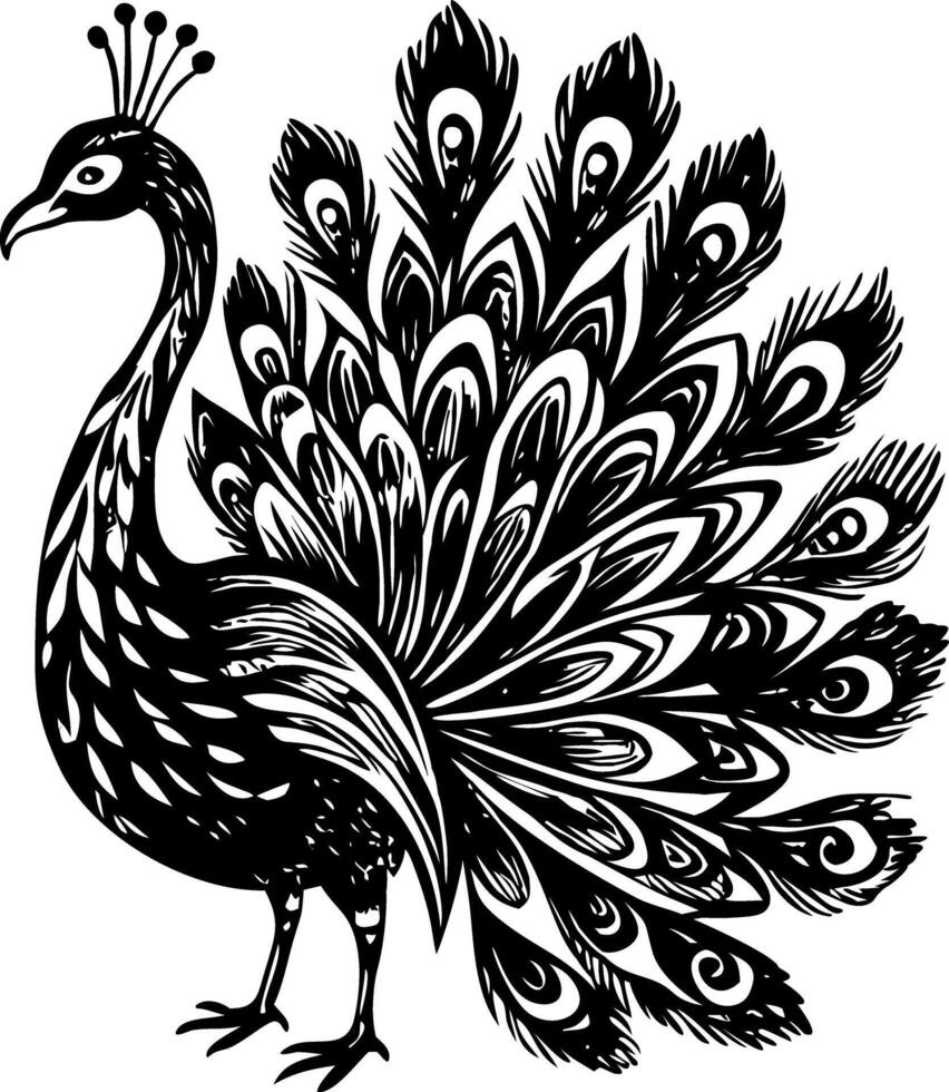 A vintage style illustration of peacock vector