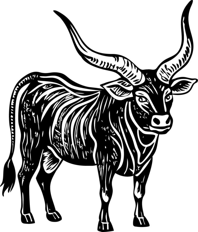 Watusi cow illustration in vintage style vector