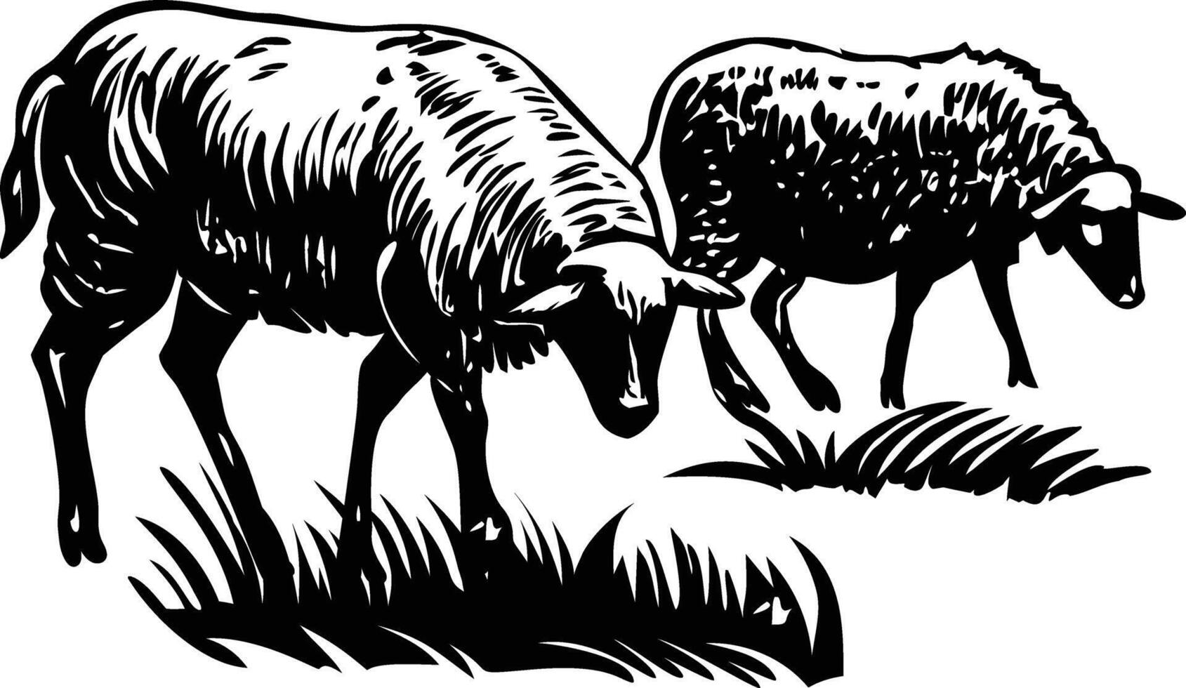 Sheep grazing illustration in vintage style vector