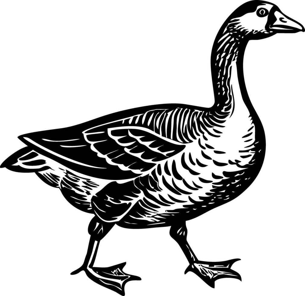 Goose illustration in vintage style vector