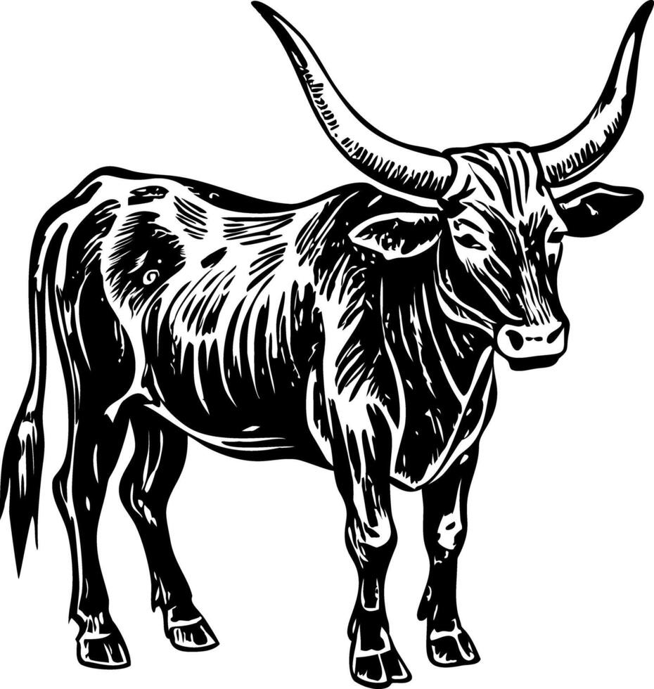 Anokle watusi illustration in vintage style vector