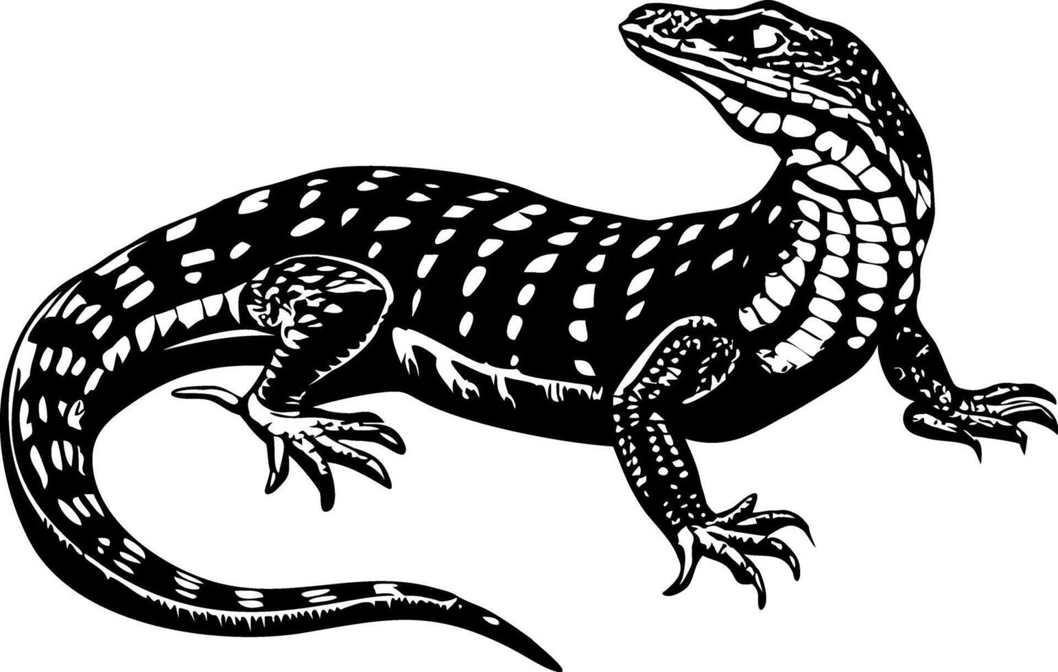 Australian lizard illustration in vintage style vector
