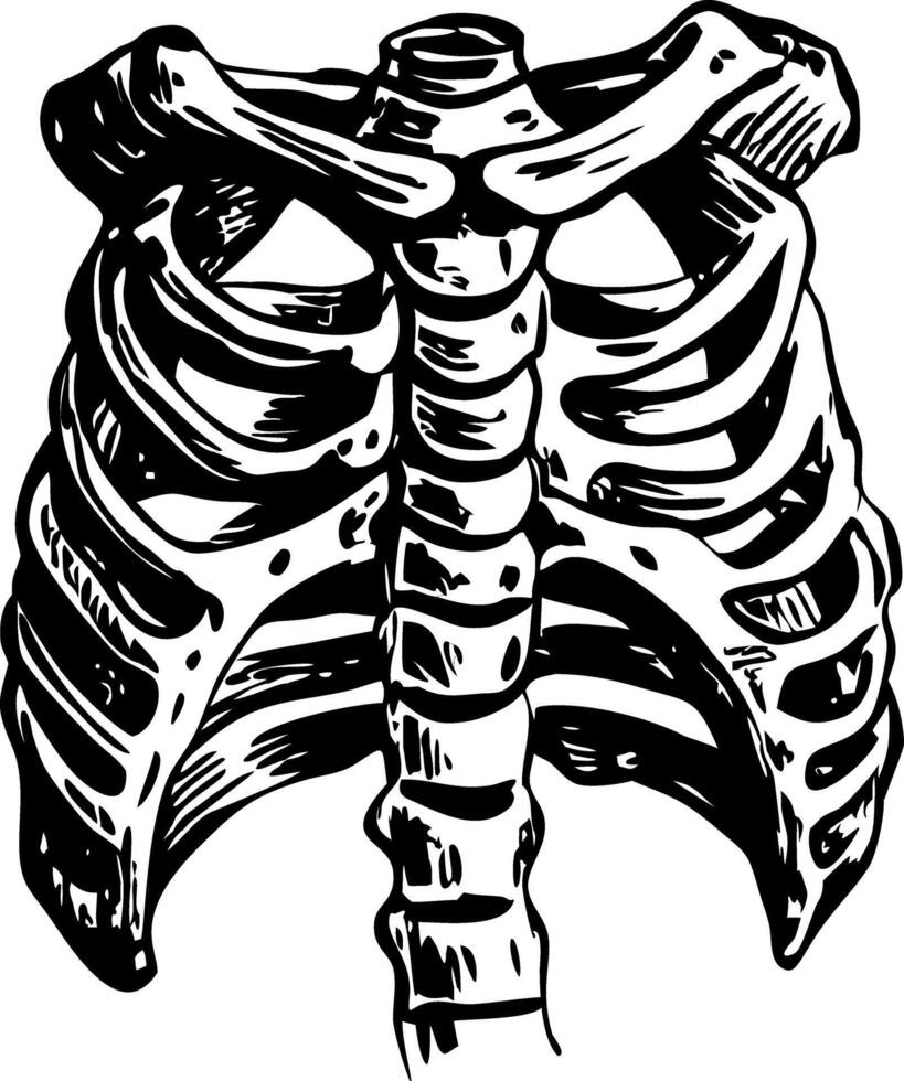 Rib bones structure illustration in vintage style vector