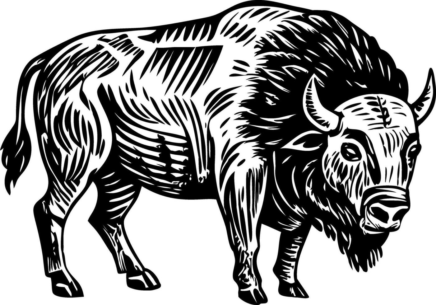 A vintage style illustration of bison vector