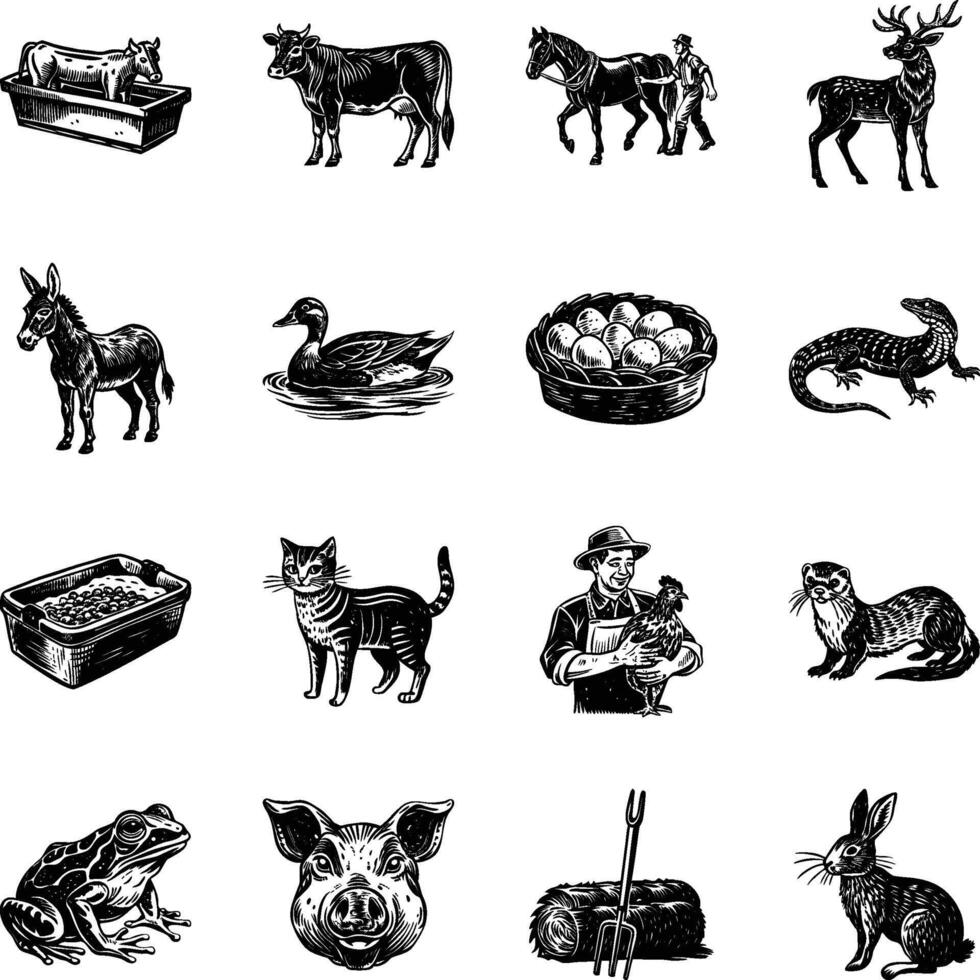 Collection of Vintage Style Animal Illustrations vector