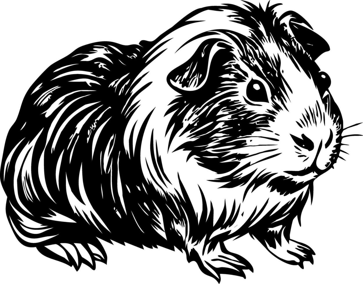 Guinea pig illustration in vintage style vector