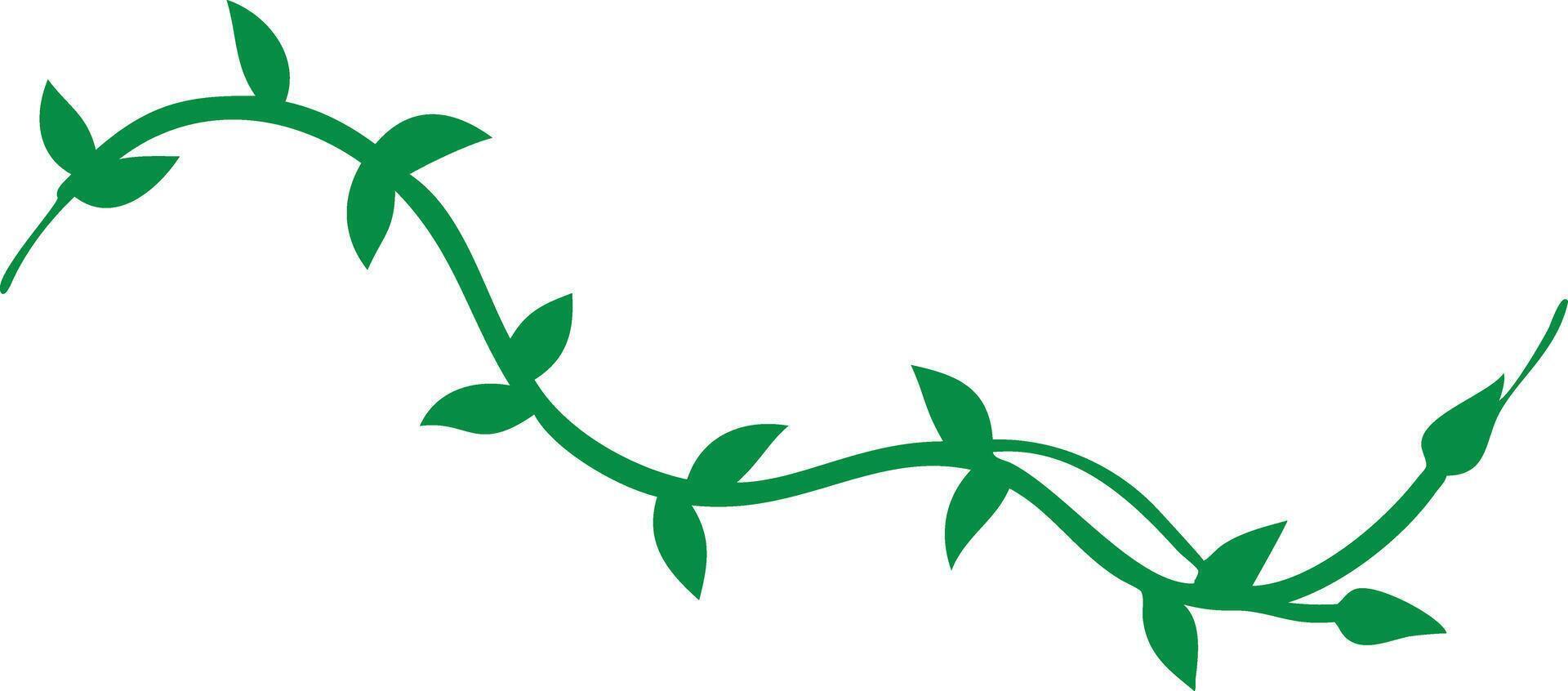 Curved Green Vine with Pointed Leaves for Design vector