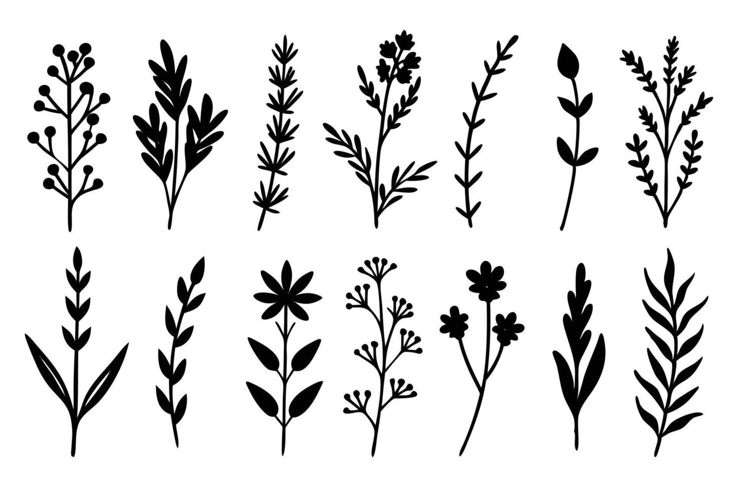 Floral Silhouette Collection, Botanical Outline, Leaf and Flower Set, White Background vector