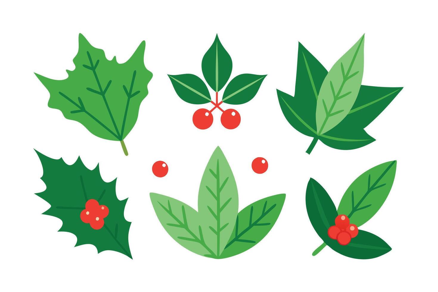 Stylized Holly Leaves and Berries Assortment , Festive Elements vector