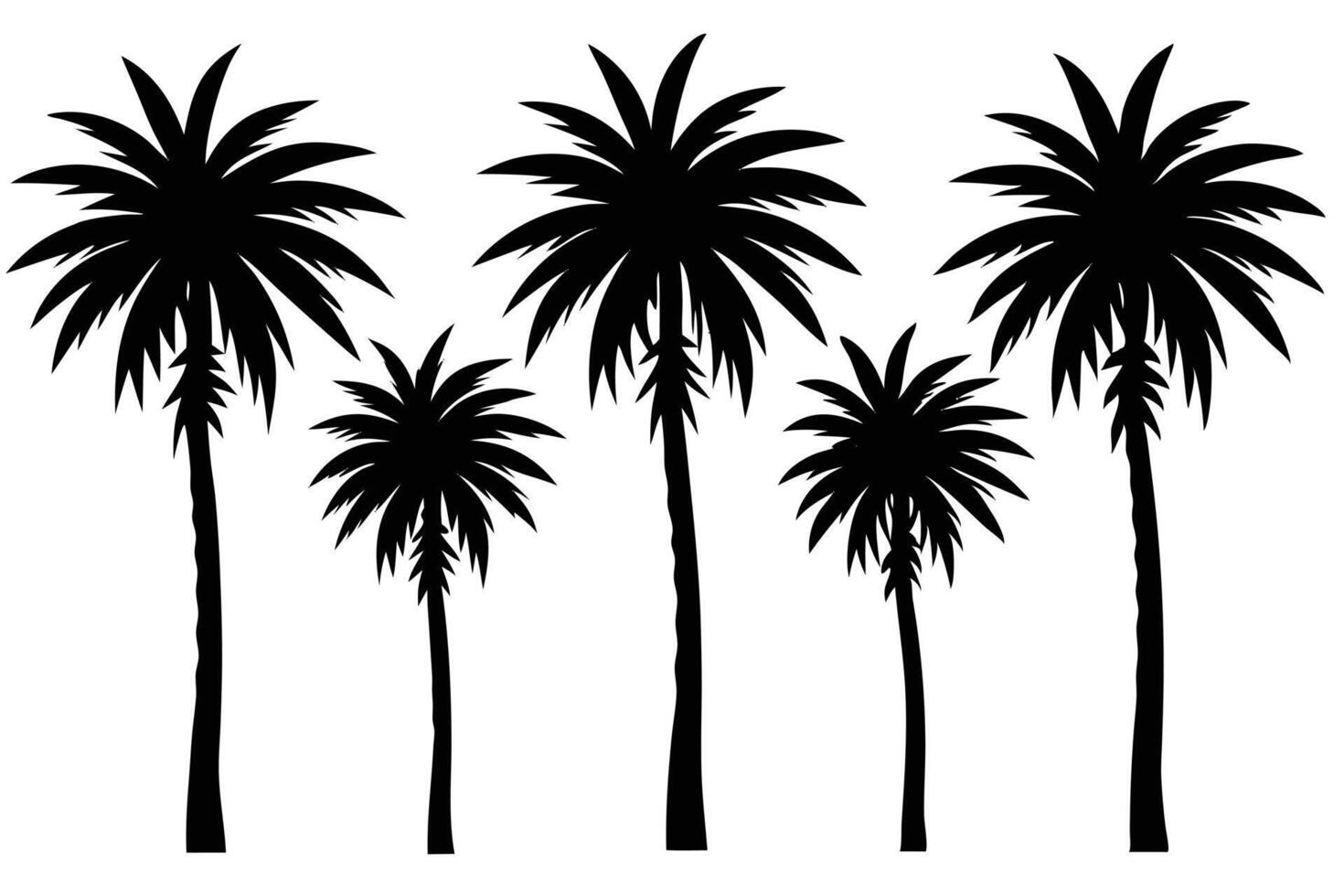 Black Palm Tree Silhouette Graphics on White Backgrounds for Creative Projects vector