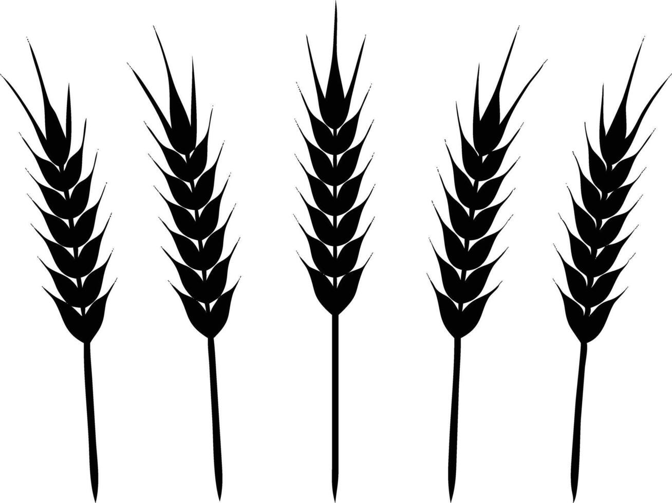 Five black ears of wheat on a white background, minimalist silhouette design vector