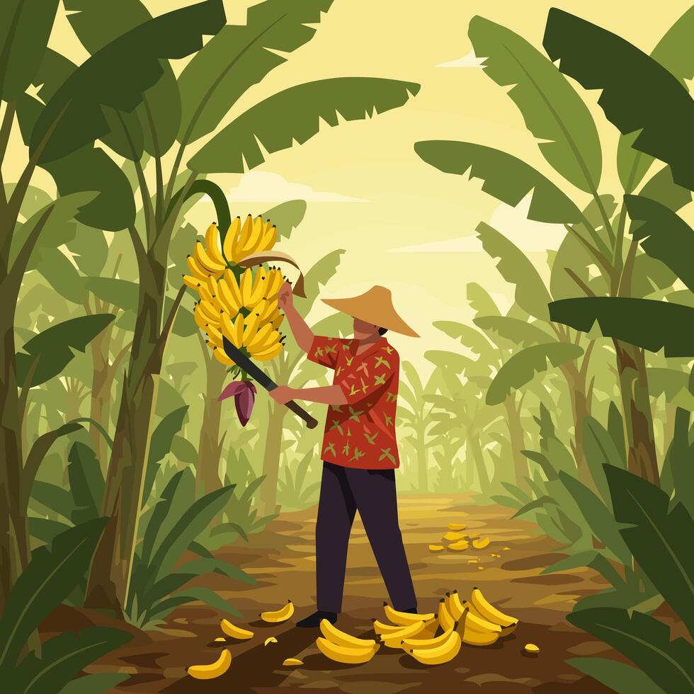 Man Harvesting Bananas in Tropical Plantation with Machete and Hat vector