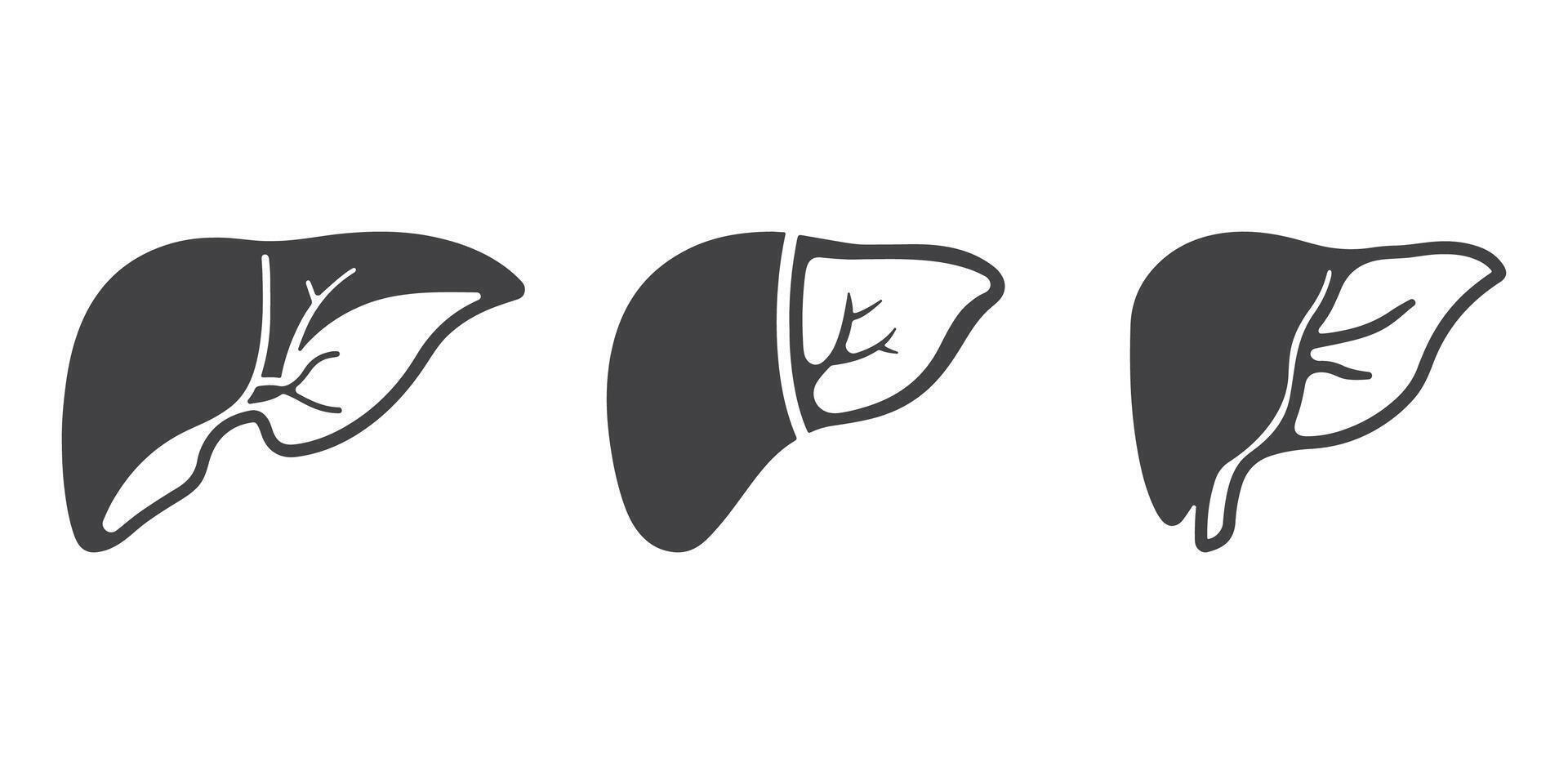 Human Liver Silhouette Illustration Set vector