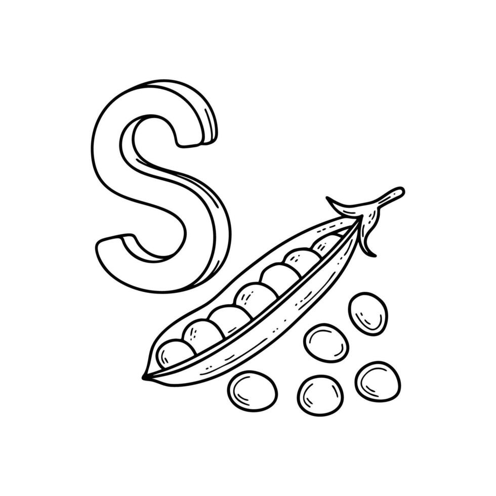 An illustration of letter S stand for Soybean vector