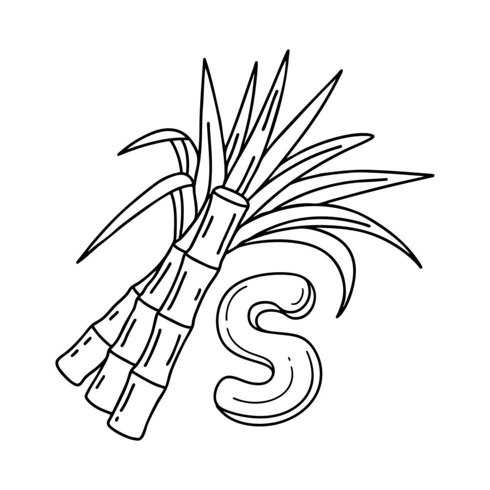 An illustration of letter S stand for Sugarcane vector