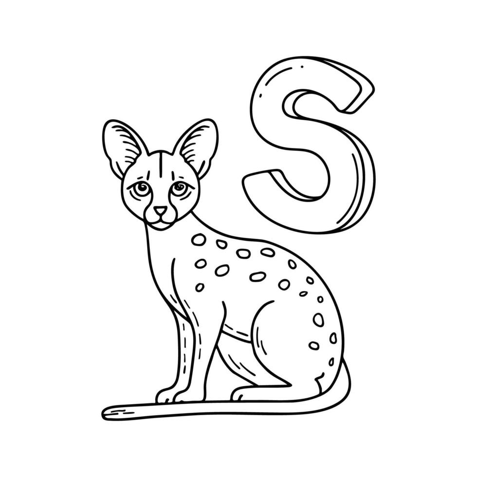 An illustration of letter S stand for Savannah cat vector