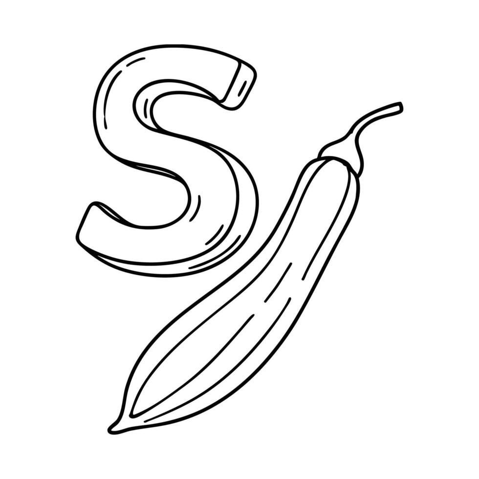 An illustration of letter S stand for Snake gourd vector