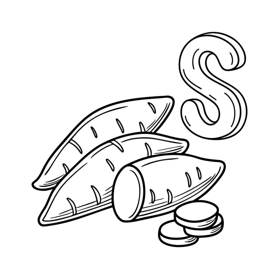 An illustration of letter S stand for Sweet potato vector