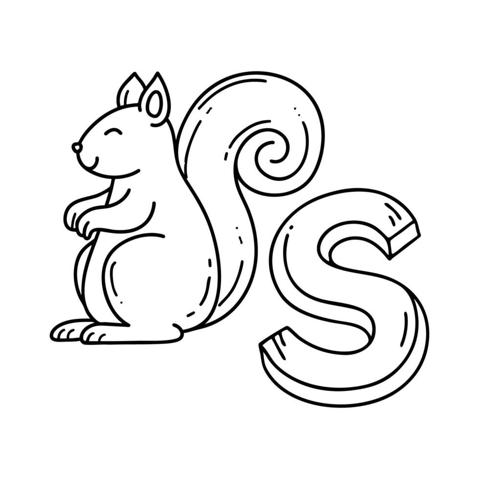 An illustration of letter S stand for Squirrel vector