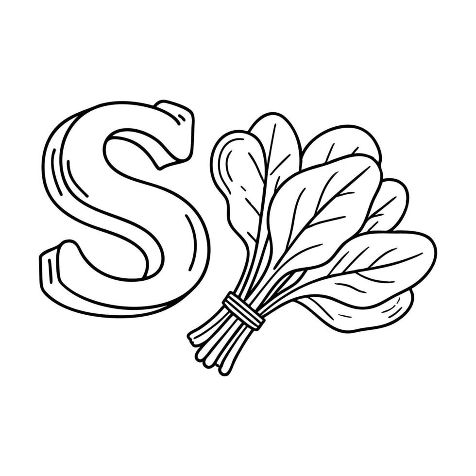 An illustration of letter S stand for Spinach vector