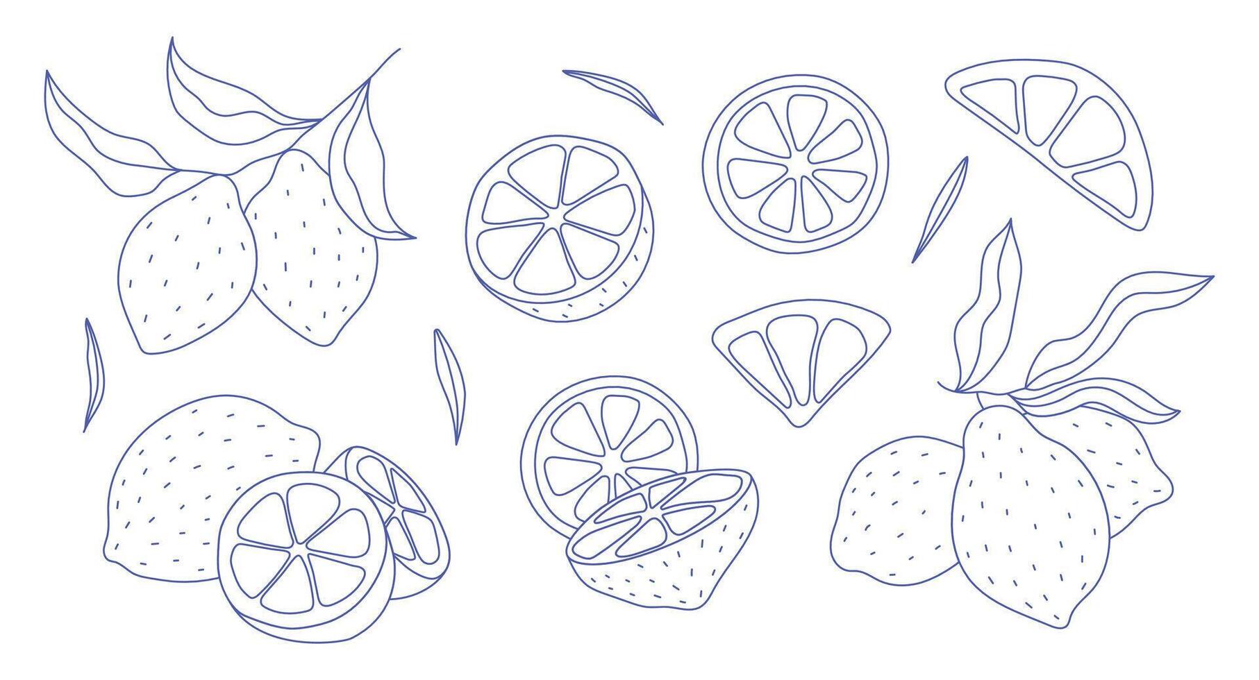 Lemon line icons set illustration. Hand drawn outline whole citrus with peel and natural fruit cut into different pieces and circle slices, twists of lemon zest and branch of blossom and leaves vector