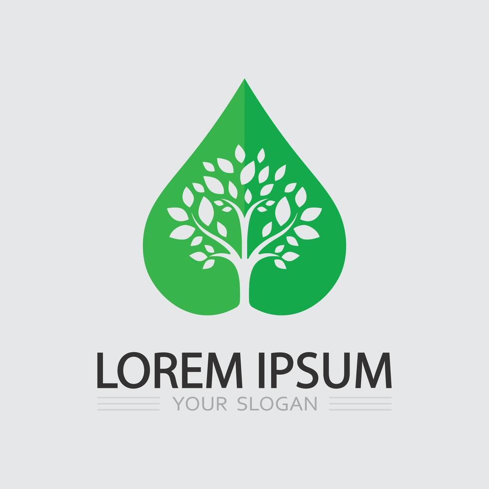 Organic Tree Badge Design vector