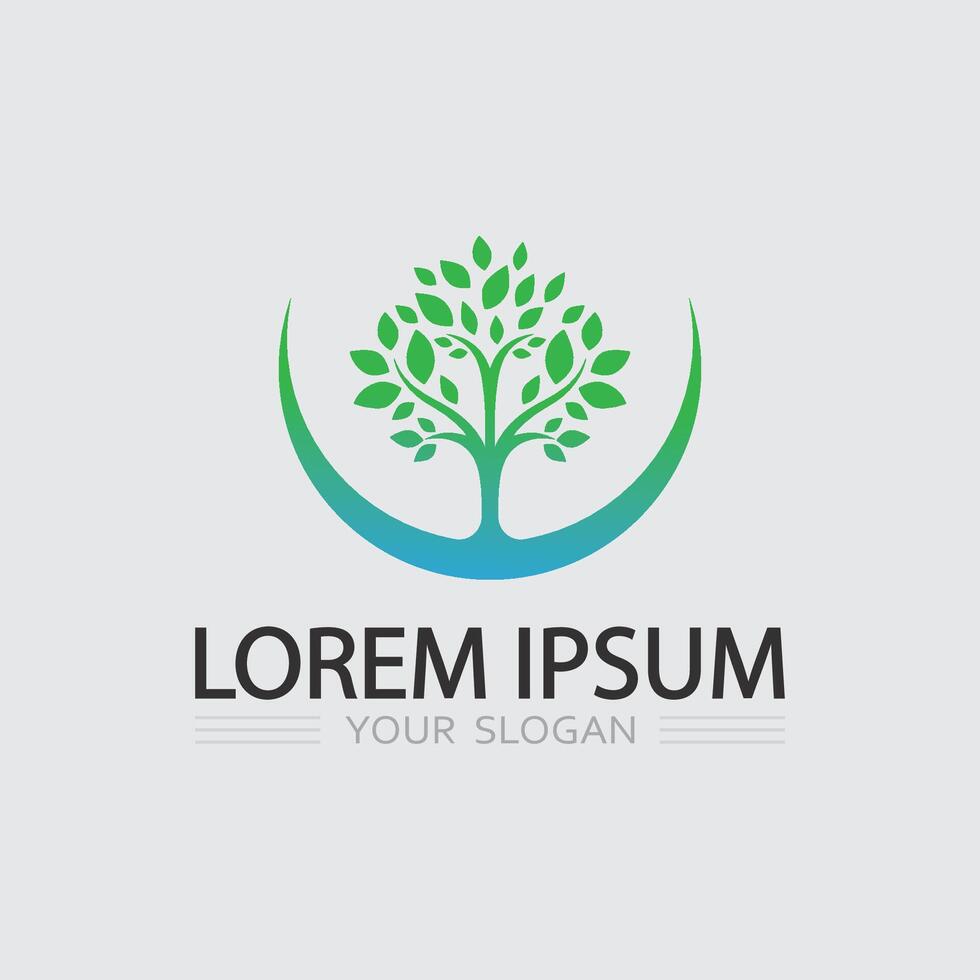 Green Eco Leaf Logo vector