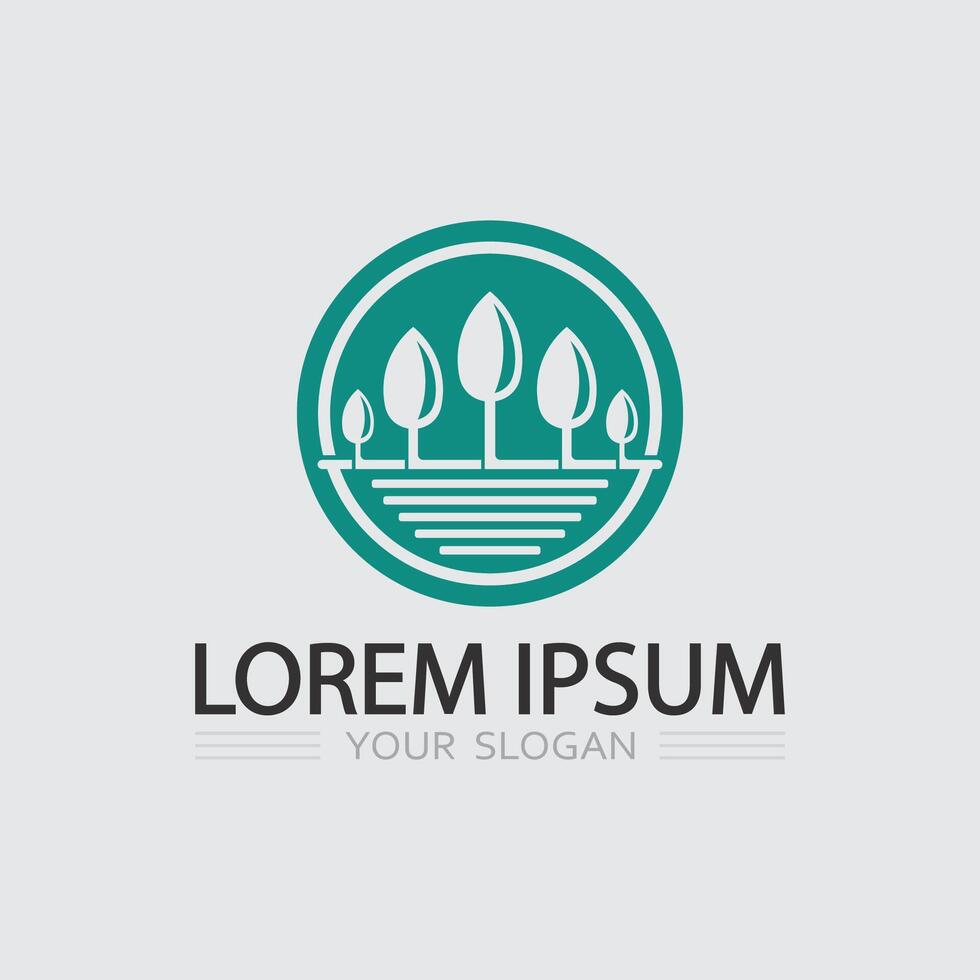 Fresh Plant Seedling Logo vector