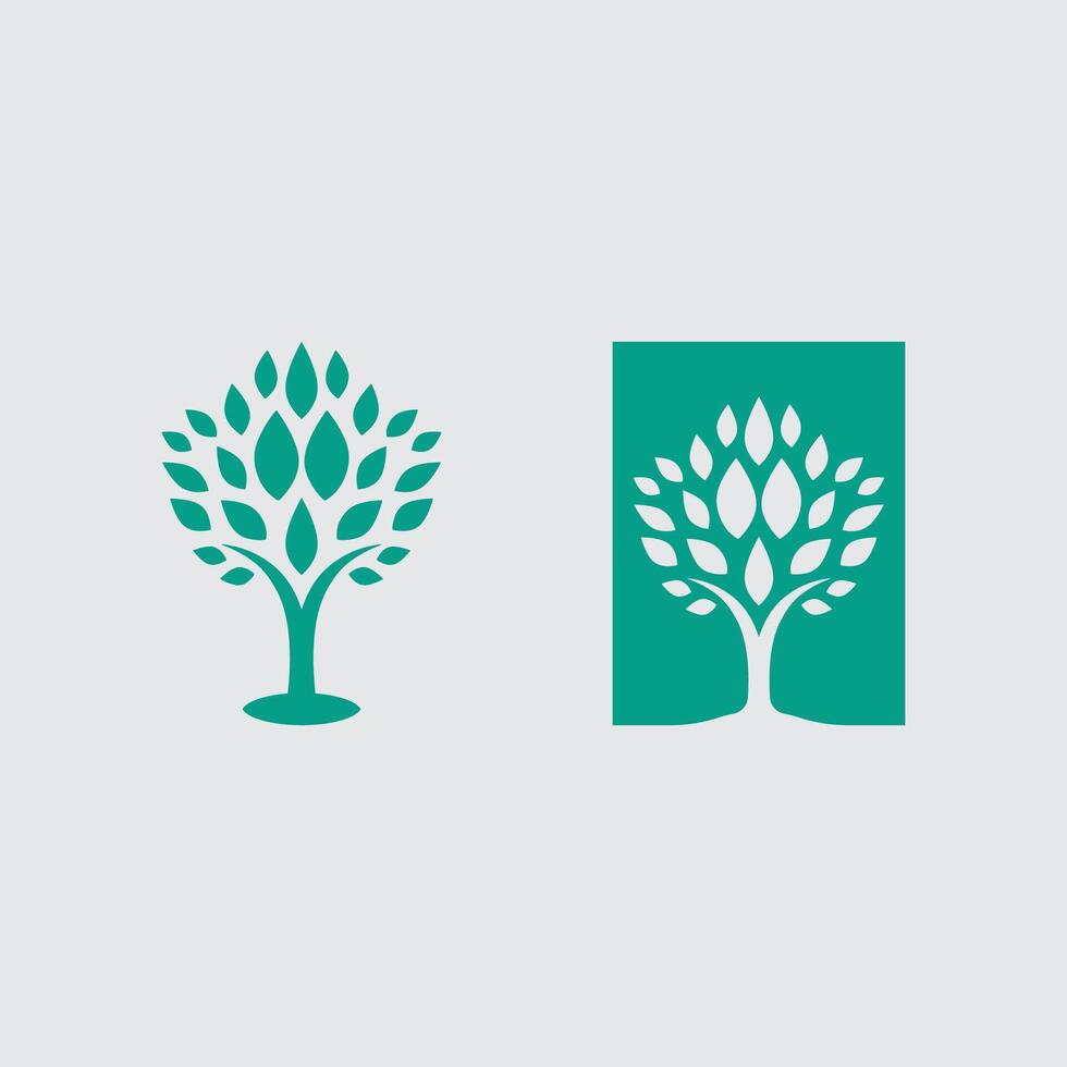 Botanical Flora Line Art vector