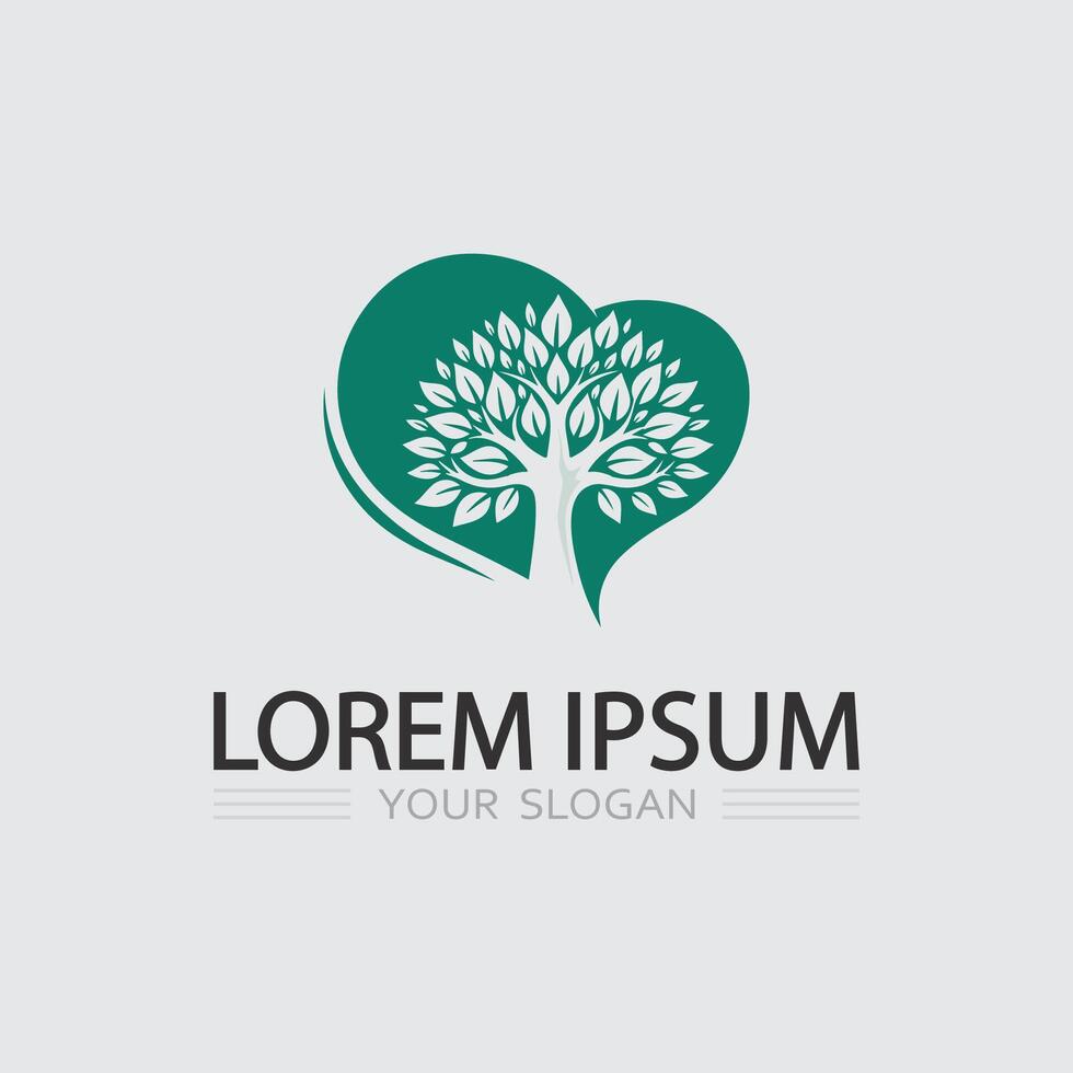Tree of Life Logo Design vector