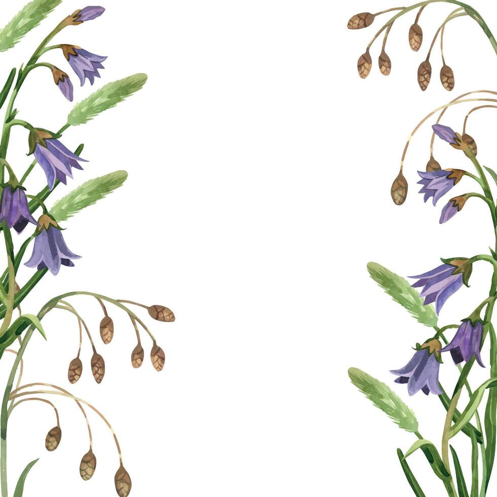 Square frame of wild flowers, purple bells, herbs, green leaves, timothy grass, all objects are hand painted with watercolors. A great option for wedding or celebration invitations, postcards vector