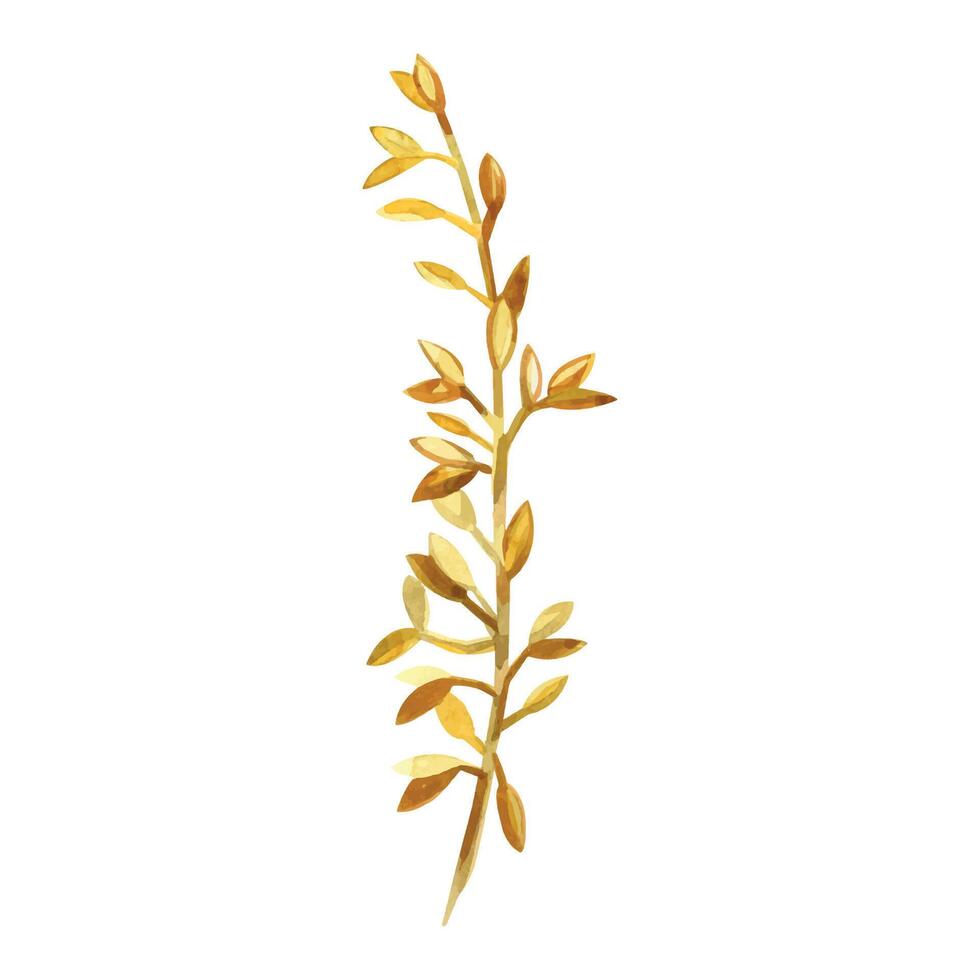 Yellow grass meadow plant, hand painted with watercolor. Watercolor illustration. Suitable for printing on fabric, paper, for postcard design, wedding and celebration invitation design vector