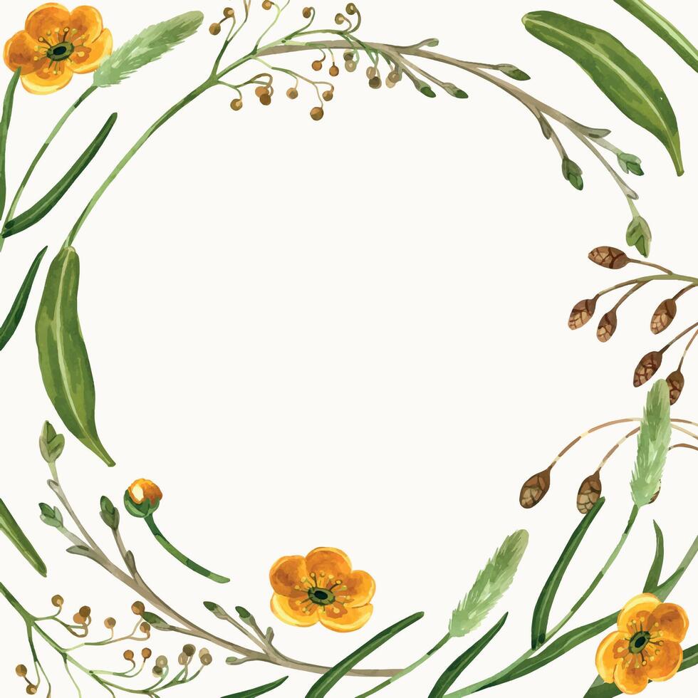 Round frame of spring flowers and herbs, yellow buttercups, timothy grass, green leaves and plants, all objects hand painted with watercolors. Suitable for printing on fabric, paper, for cards vector