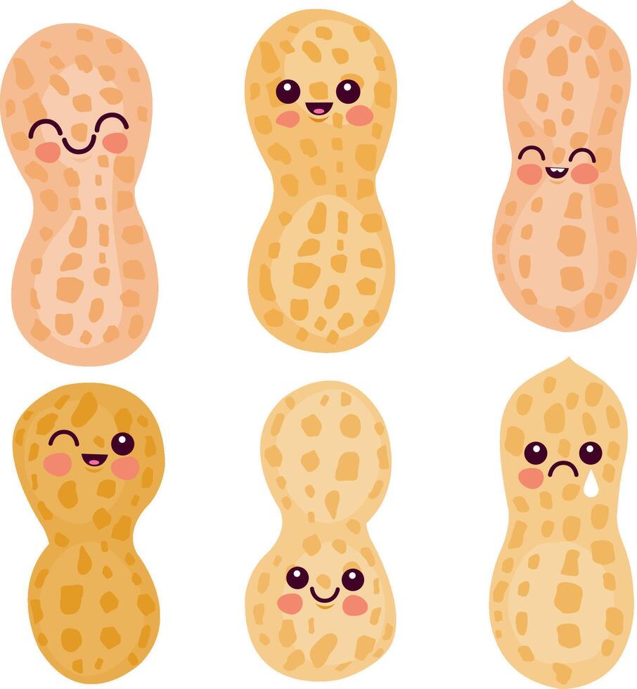 Cute peanut characters. Fresh organic cartoon peanuts snack. vector