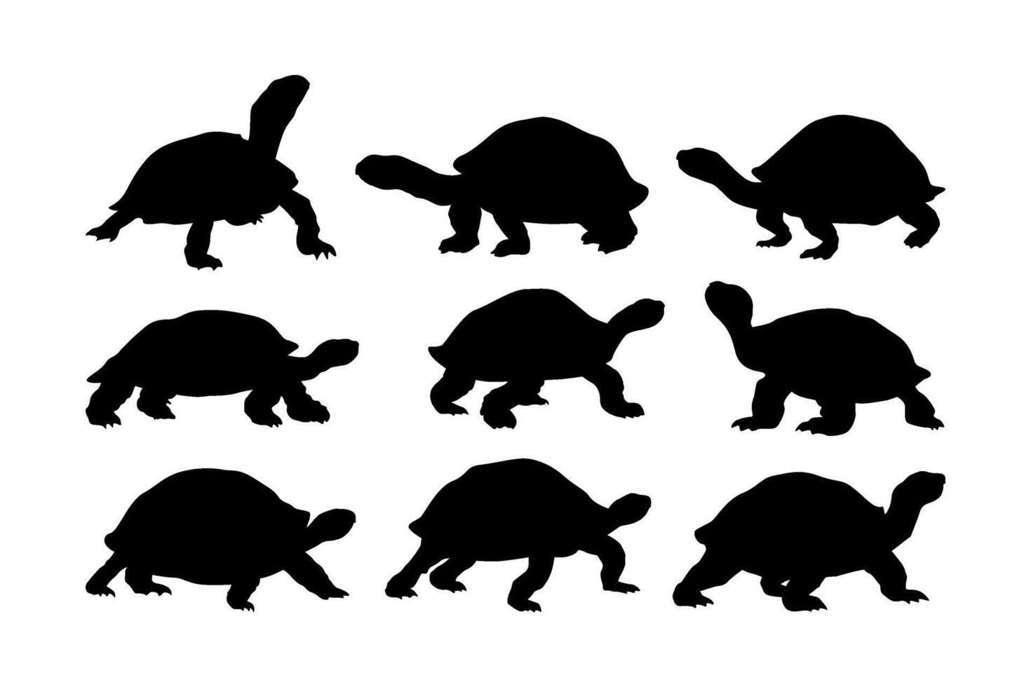 tortoise silhouette set collection vector