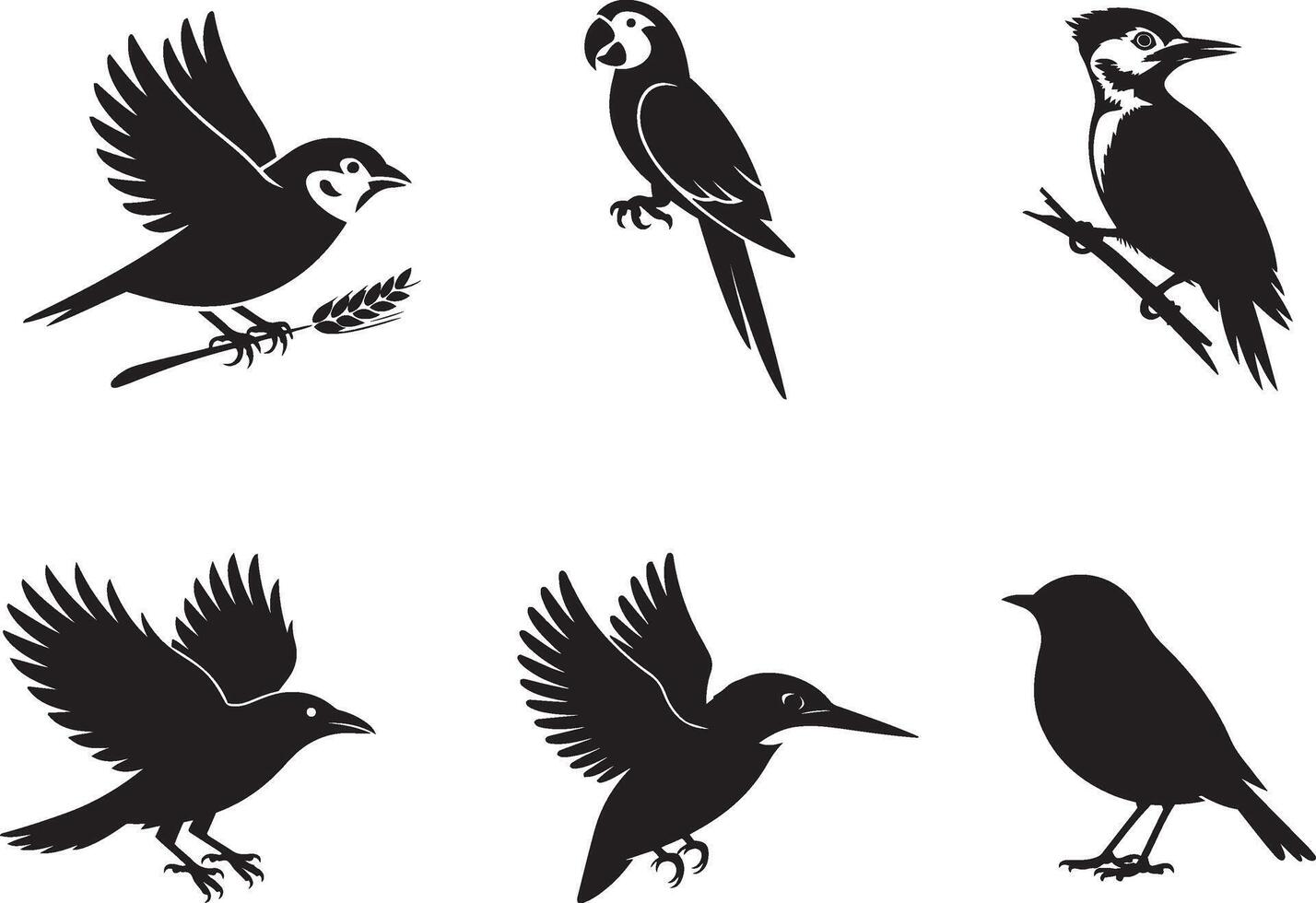 A set of six black silhouette illustrations of different bird species vector