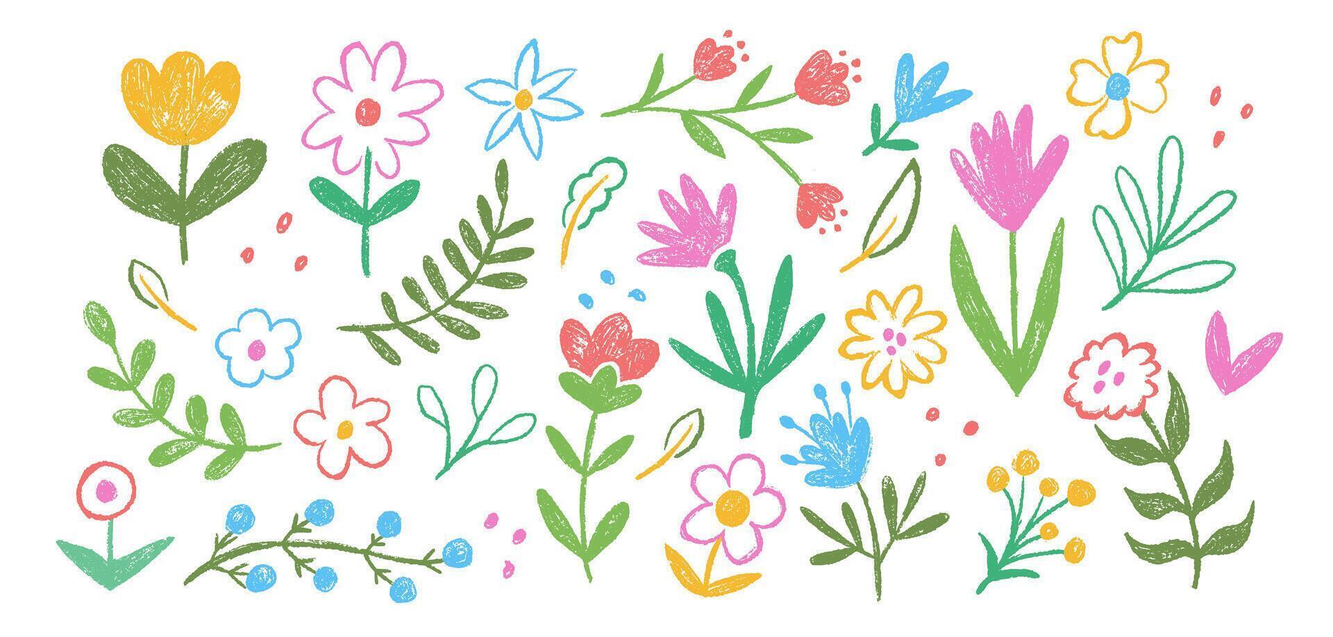 Botanical floral textured elements. Abstract chalk flowers. Child color crayon chalk botanical plant. vector