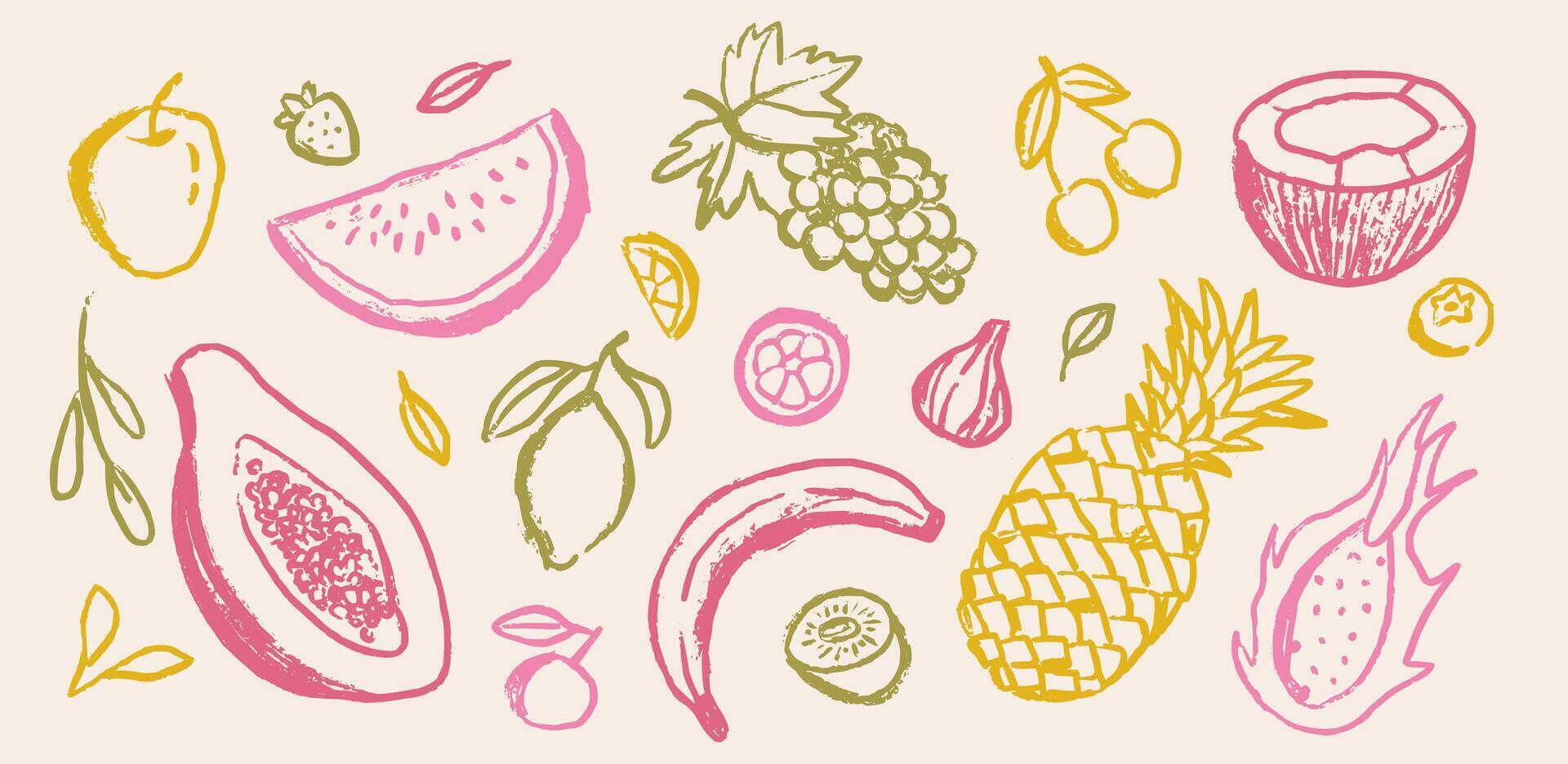 Set of abstract ink tropical fruits. Abstract healthy food sketches in minimalist ink chalk or charcoal style. Doodle pitahaya, papaya vector
